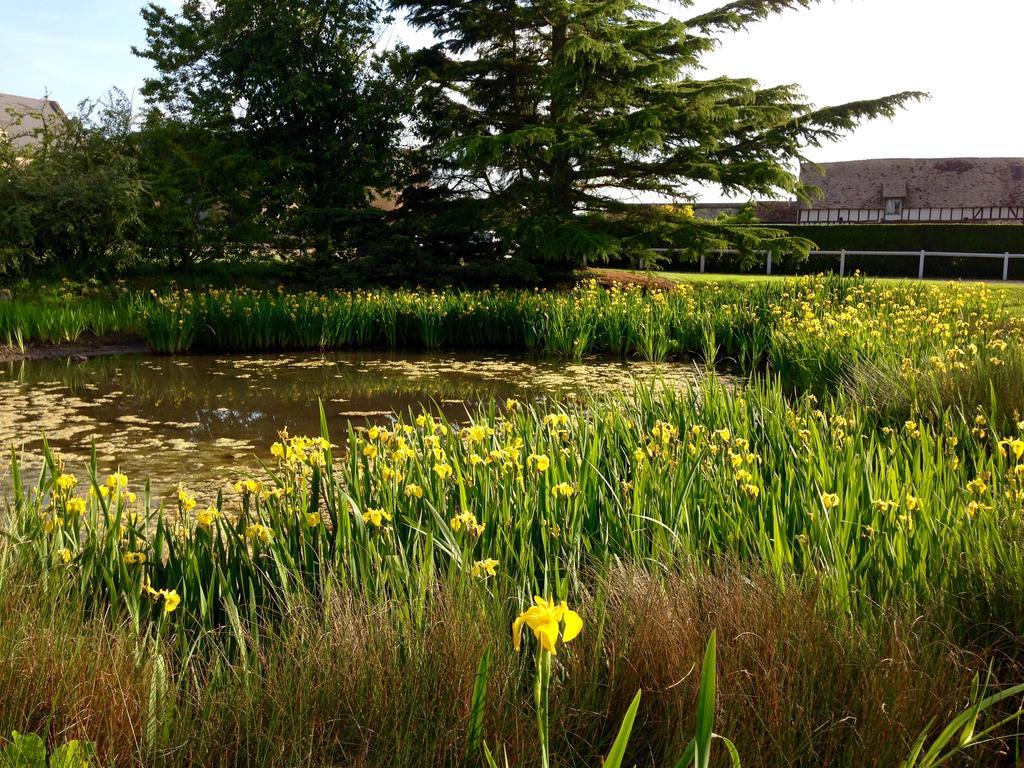 Résidences Le Clos du Manoir - Self Cooking Gauciel Extérieur photo